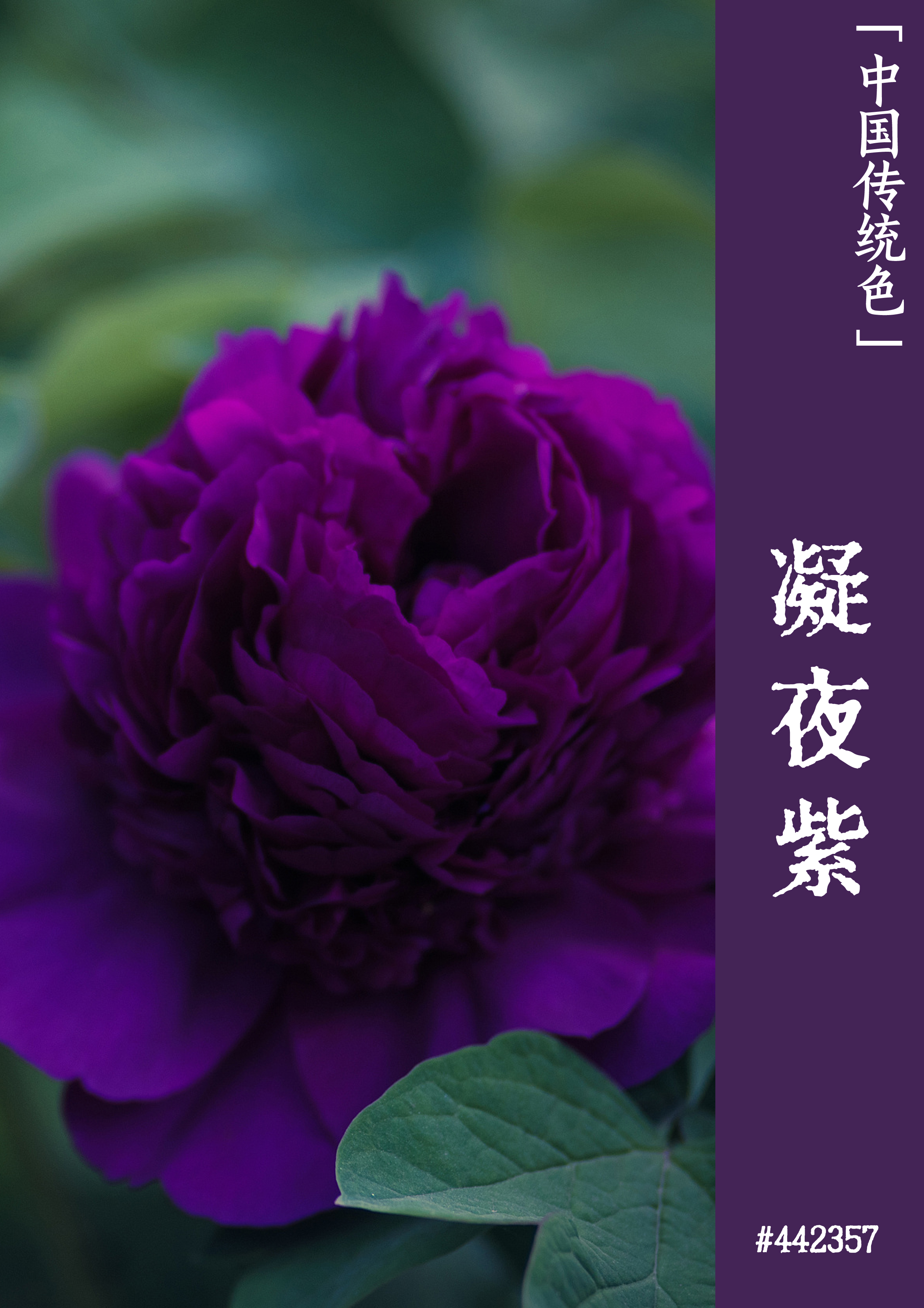大霜塔至尊版没有货_蚂蚁大作战电脑版有2没_大霜塔压坏主板