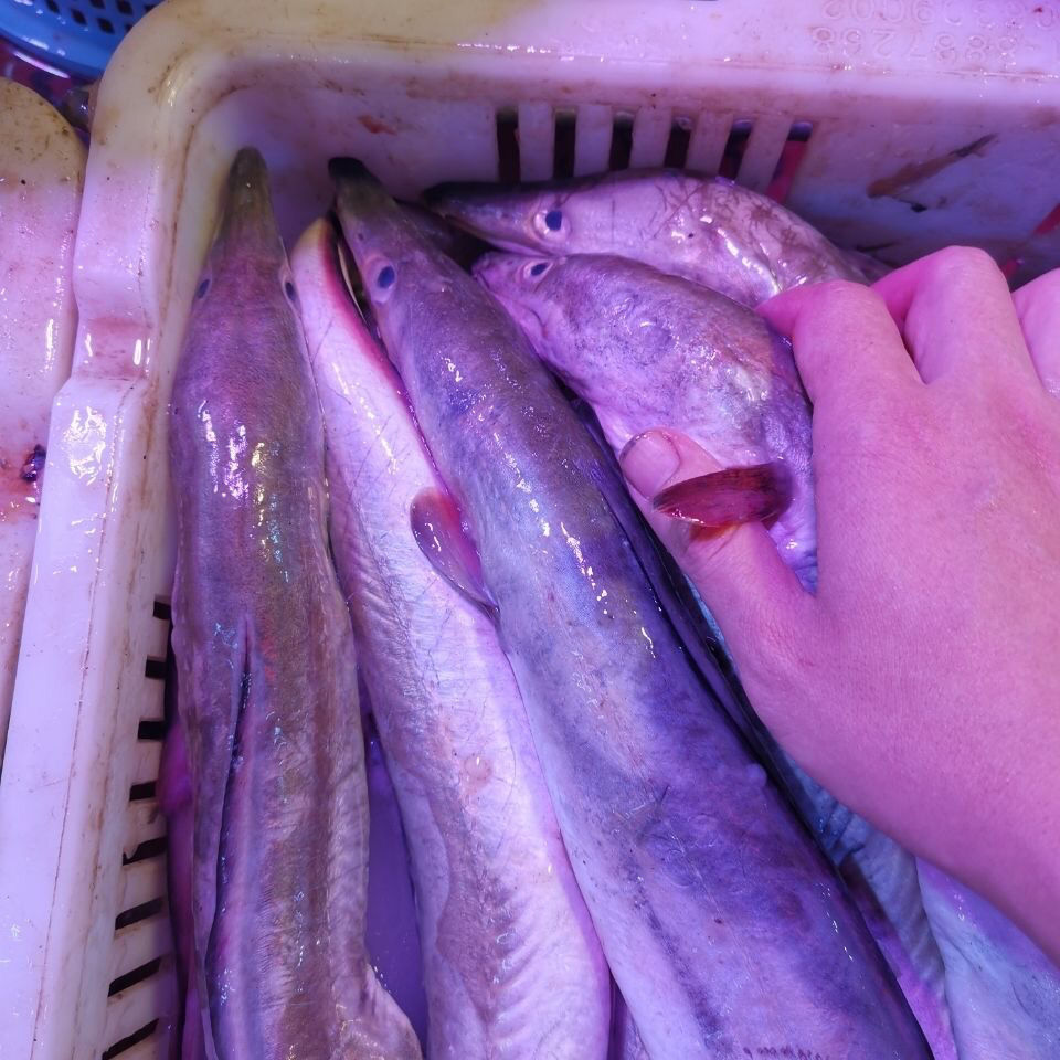 海底秘境助战最佳阵容_海底秘境通关攻略_海底秘宝最好是什么