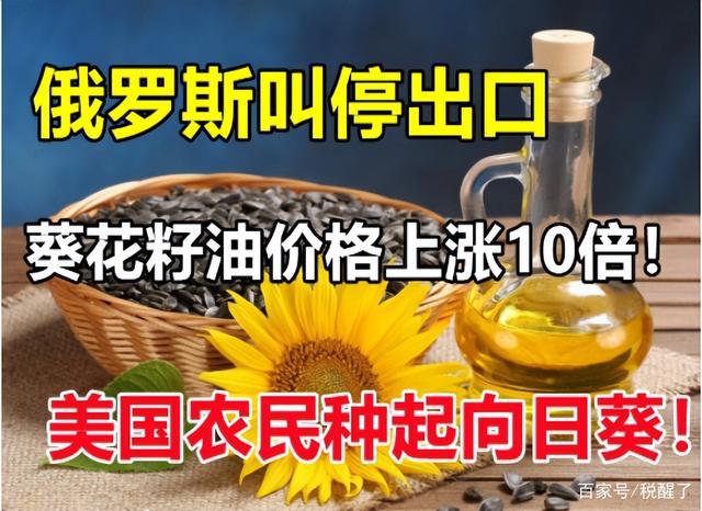 大航海时代4威力加强版攻略李华梅_大航海时代4威力加强版攻略李华梅_大航海时代4威力加强版攻略李华梅