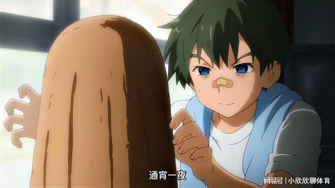 夏虫动漫讲的什么_夏虫是什么动漫_夏虫是什么动画
