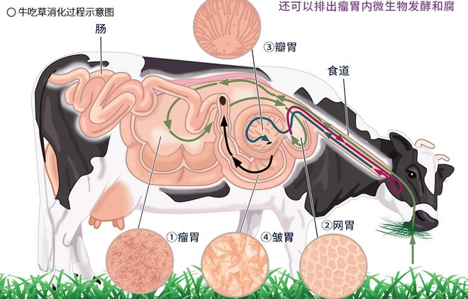 完美世界sf网站_完美世界私服网_完美世界怀旧官网