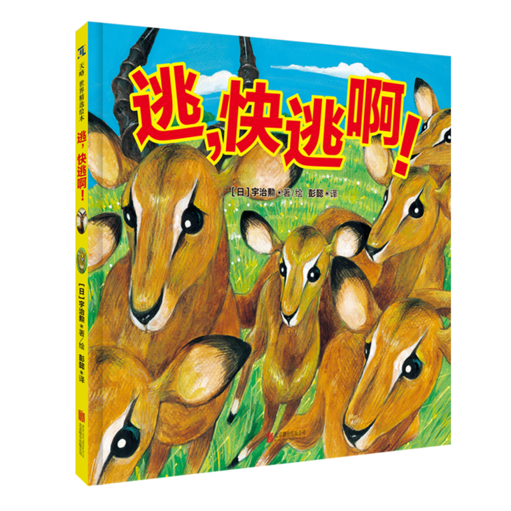 恐怖丛林生存攻略_恐怖丛林生存135初期攻略_丛林恐怖初期生存攻略135