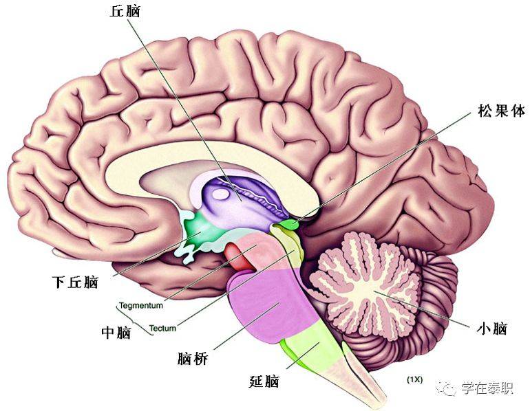 摘下保持器反弹几率_摘下保持器反弹几率_摘下保持器反弹几率