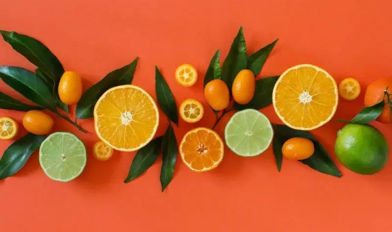 动画心灵剧情游戏有哪些_心灵游戏 动画剧情_动画心灵剧情游戏攻略