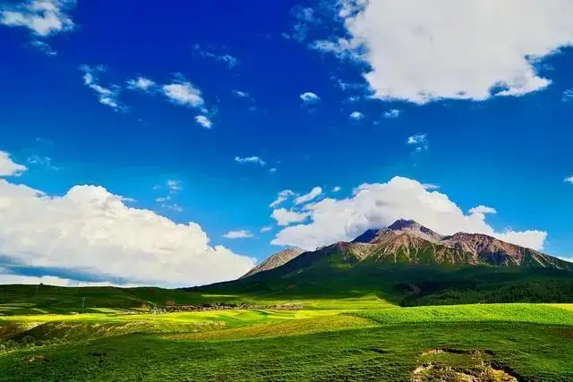 牧场物语双子村艾瑞拉_牧场物语艾瑞拉_牧场物语拉拉