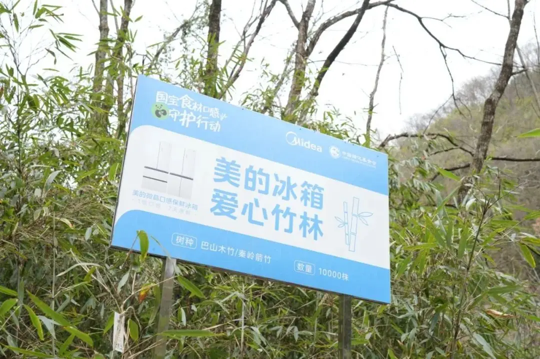游击队鲍勃为什么不能玩_游击队鲍勃下载_鲍勃游击队