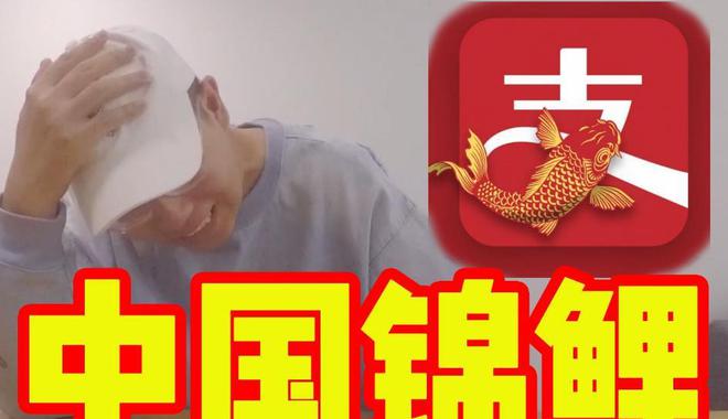 提点位是什么意思_一亿的提一个点位是多少钱_点位提资