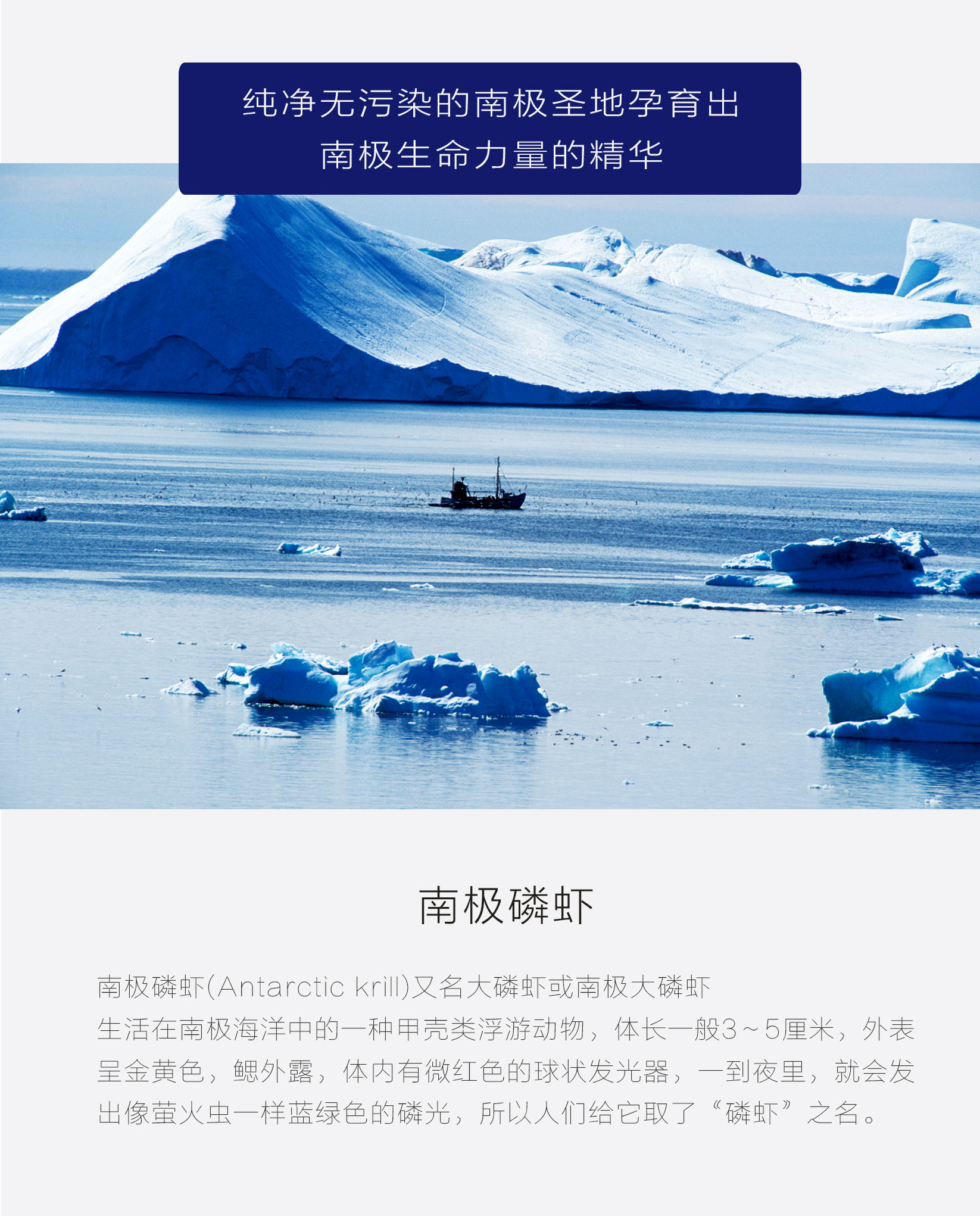 口袋怪兽绿叶版攻略_口袋怪兽绿叶版带什么宠物_口袋怪兽绿叶攻略