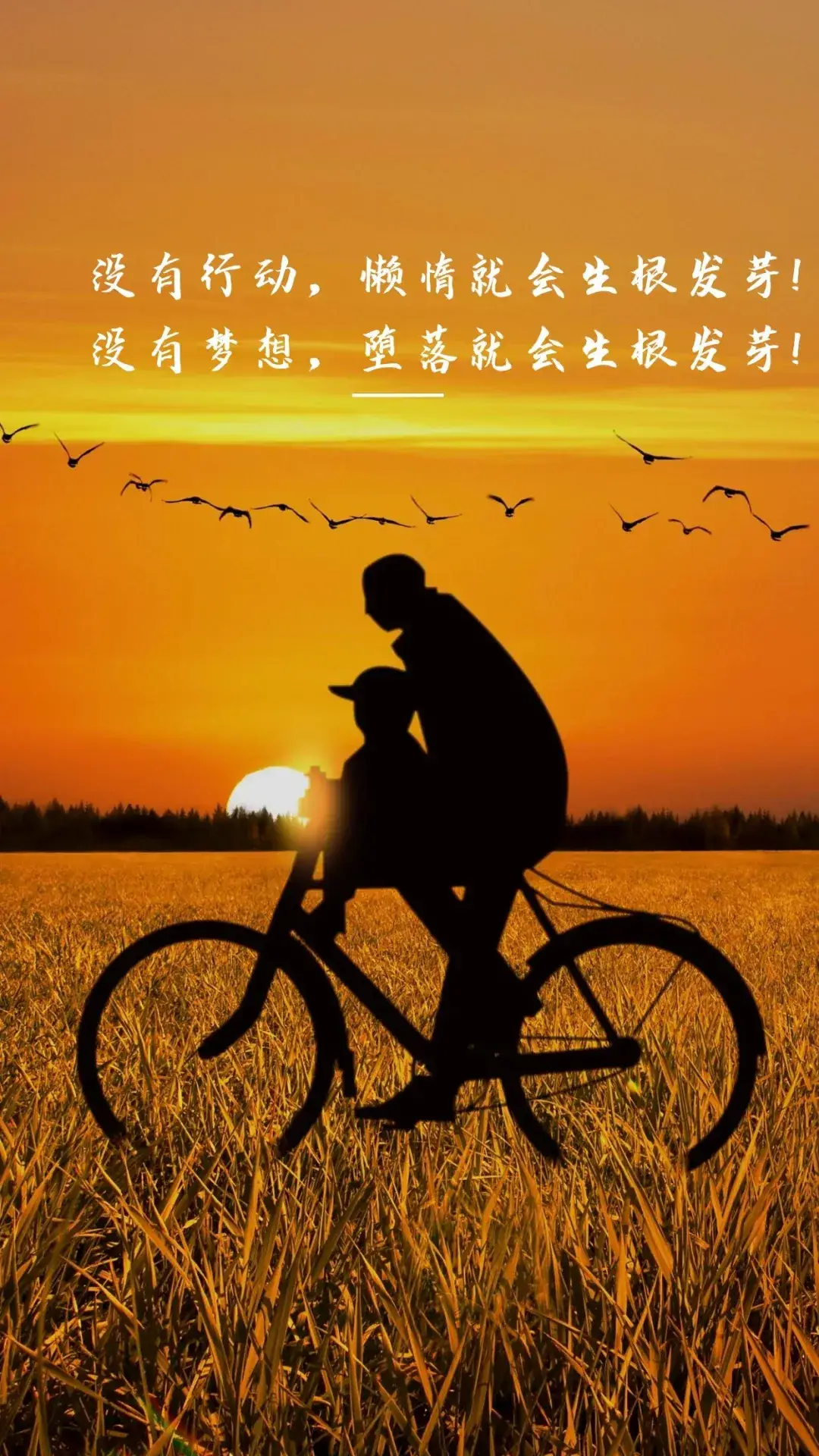 h级纯肉细节小说_h级纯肉细节小说_h级纯肉细节小说