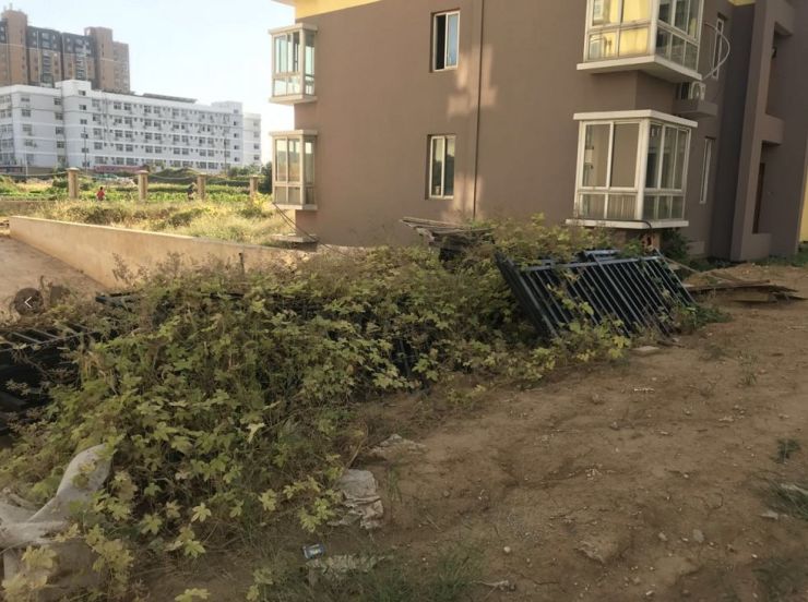 一起买房镇江_镇江买房建议_2020年镇江买房新政
