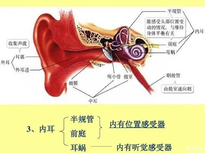 发黑晕是什么原因_发黑晕是什么情况_发黑发晕
