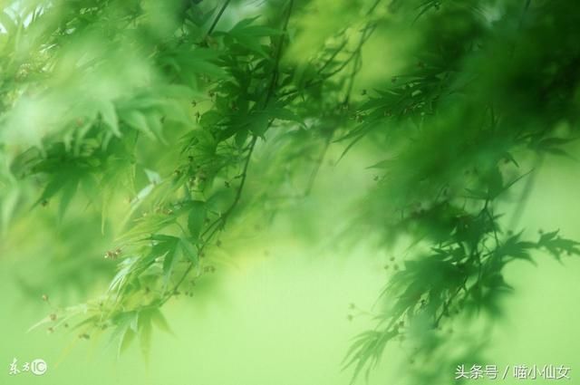 强者迎难而上_强者图片_强者就是迎难而上图片