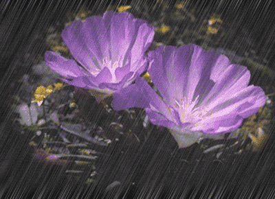 ps cs6制作gif动画系列教程_动画制作动态图_动画制作动图