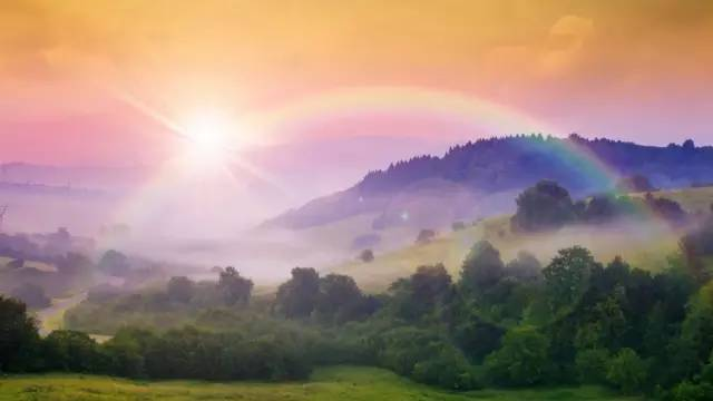 白眉雀_白眉雀_白眉雀