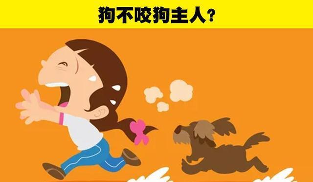 幼犬咬人怎么教育他_幼犬咬人怎么教_幼犬咬人教育视频