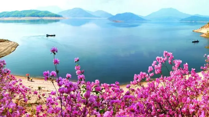 八里湖公园_八里湖沙滩公园_八里湖公园门票价格