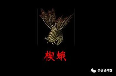 网游之团长的夫人_团长夫人重生婚然天成_网游之团长夫人