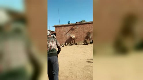 重生之上海滩斧头帮_重生之上海滩斧头帮_重生之上海滩斧头帮