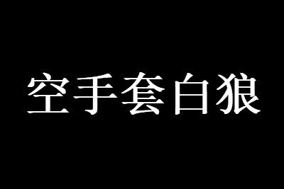 空手套白狼金融_空手套白狼的融资办法视频_快速来钱的空手套白狼项目