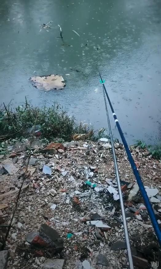 夏天下雨好钓鱼吗_夏天下大雨钓鱼_钓鱼下雨夏天好钓吗