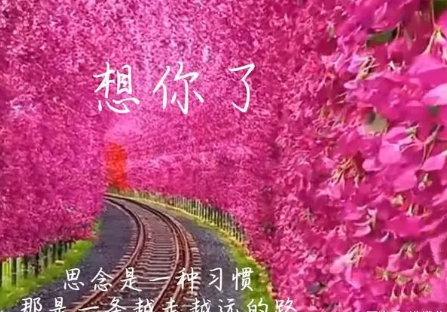 图片飞吻蓝天_飞吻图片可爱卡通图片_飞吻的图片