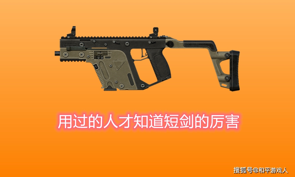 专业游戏玩家_专业游戏玩家网_专业玩家玩游戏