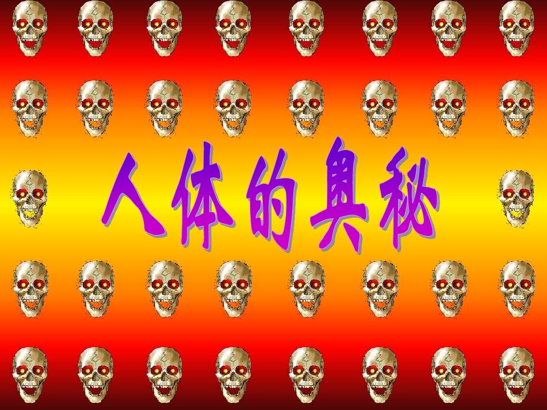 人体规则游戏有哪些_人体游戏规则_身体规则