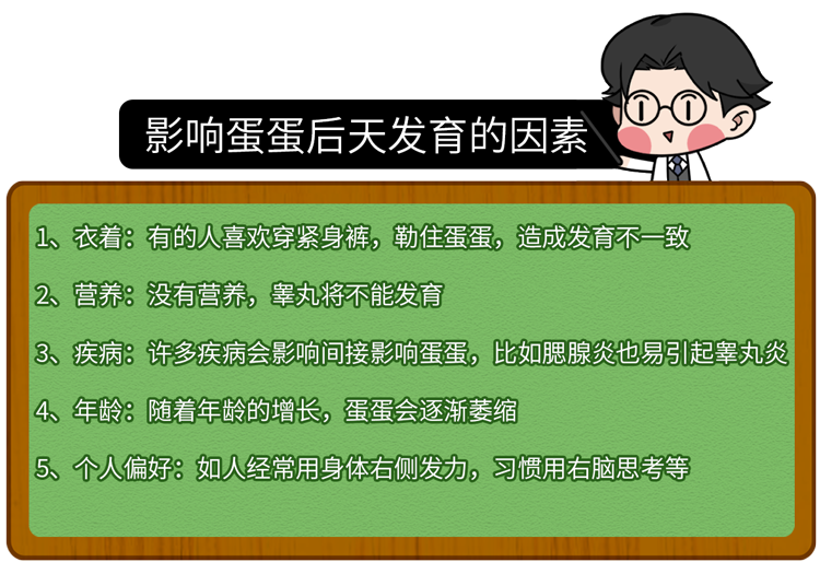 蛋蛋赚钱怎么提现_蛋蛋赚真的可以提现么_蛋蛋赚钱app