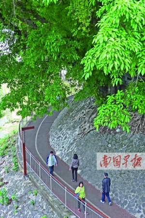 今天风好大下一句情话_今天风好大的说说短语_今天风好大图片表情包