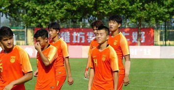 fm2024游戏目录-FM2024：足球迷的梦想战场，执教球队，从草根到巅峰的热血之旅