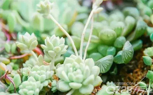 南宁时代天骄b座 桌游_南宁时代天骄b座 桌游_南宁时代天骄b座 桌游