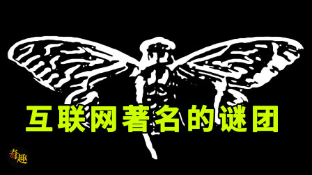 口袋旅程兑换码大全_口袋妖怪奇幻旅程数字密码p_口袋旅程神兽礼包码