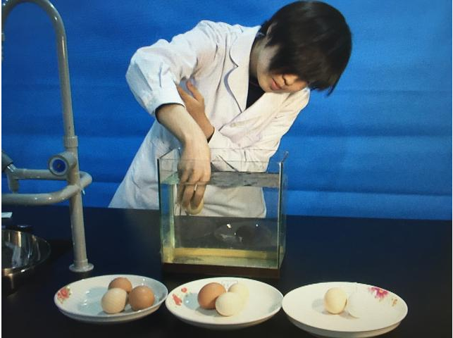 鸡蛋浮起来的实验步骤怎么写_鸡蛋浮起来的实验报告_鸡蛋浮起来了实验表