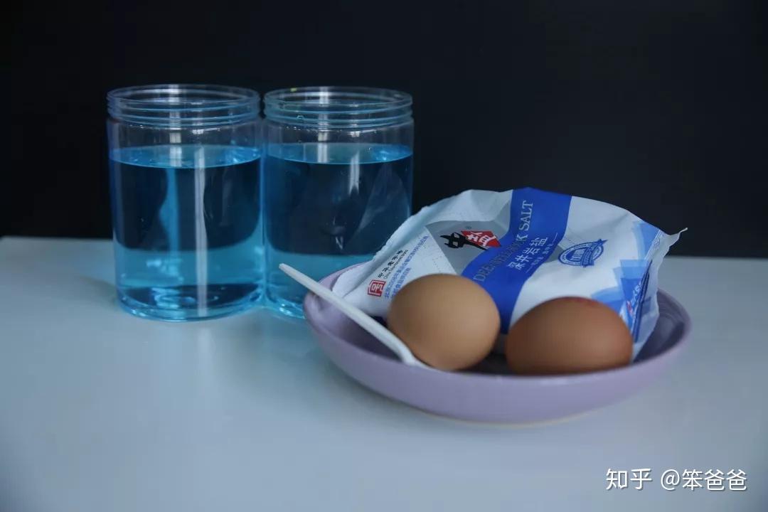 鸡蛋浮起来的实验步骤怎么写_鸡蛋浮起来了实验表_鸡蛋浮起来的实验报告