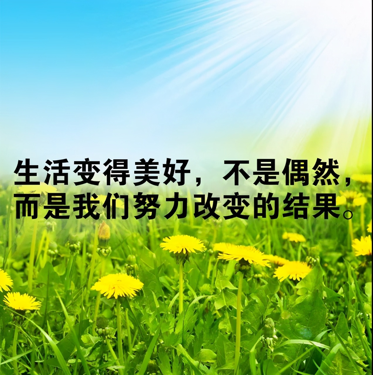 蛋蛋赚真的可以提现么-蛋蛋赚：轻松赚钱却提现难，是馅饼还是陷阱？