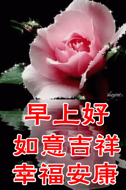 搞笑图文爆笑_动态搞笑图片带字的图笑死人_笑死人不偿命的动态图片【搞笑图文】