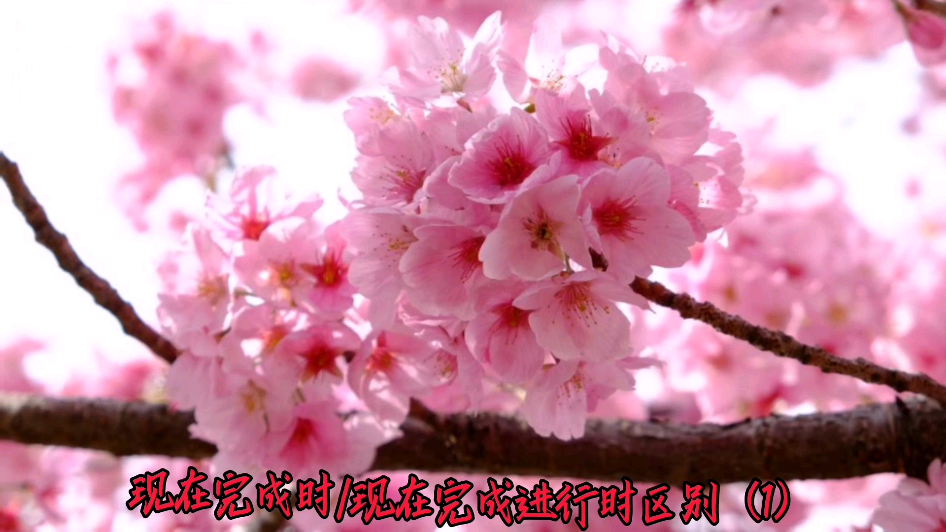 现在完成时与现在完成进行时的区别_现在完成进行时常用时间状语_现在完成时区分