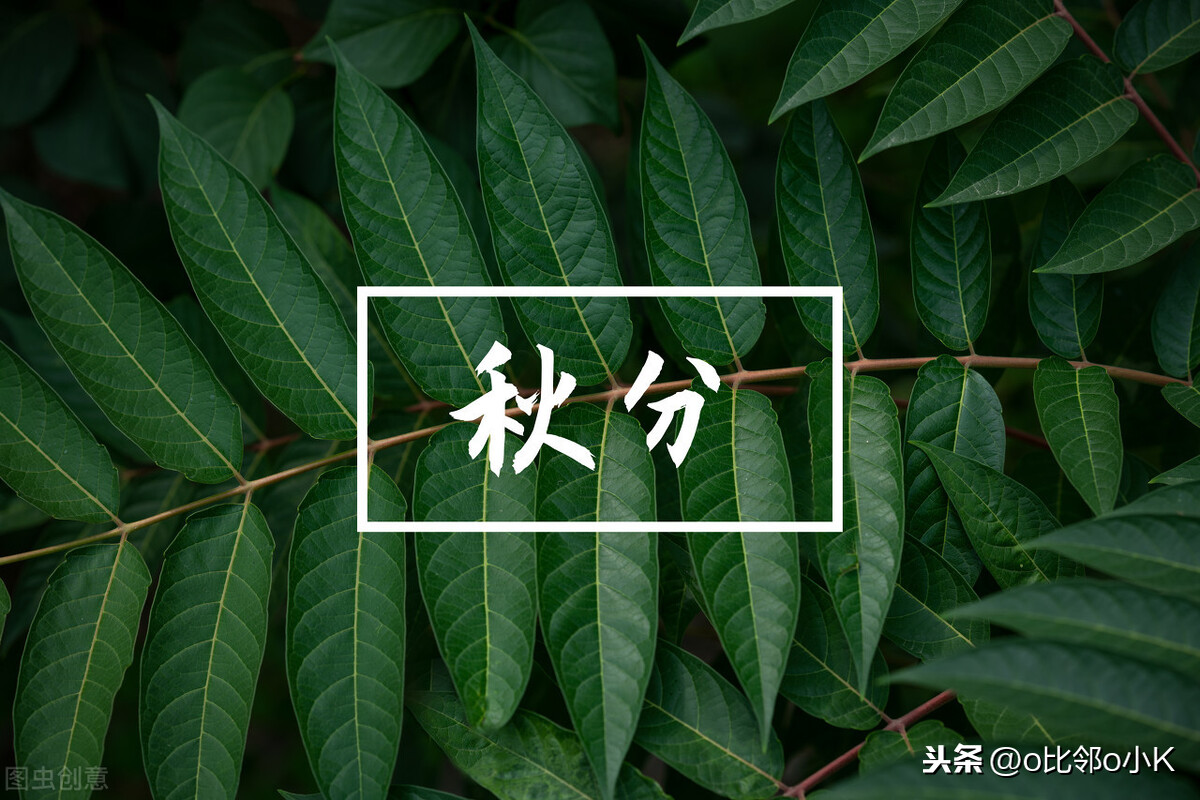 女神异闻录3剧场版秋降_女神异闻录片尾曲_女神异闻录声优