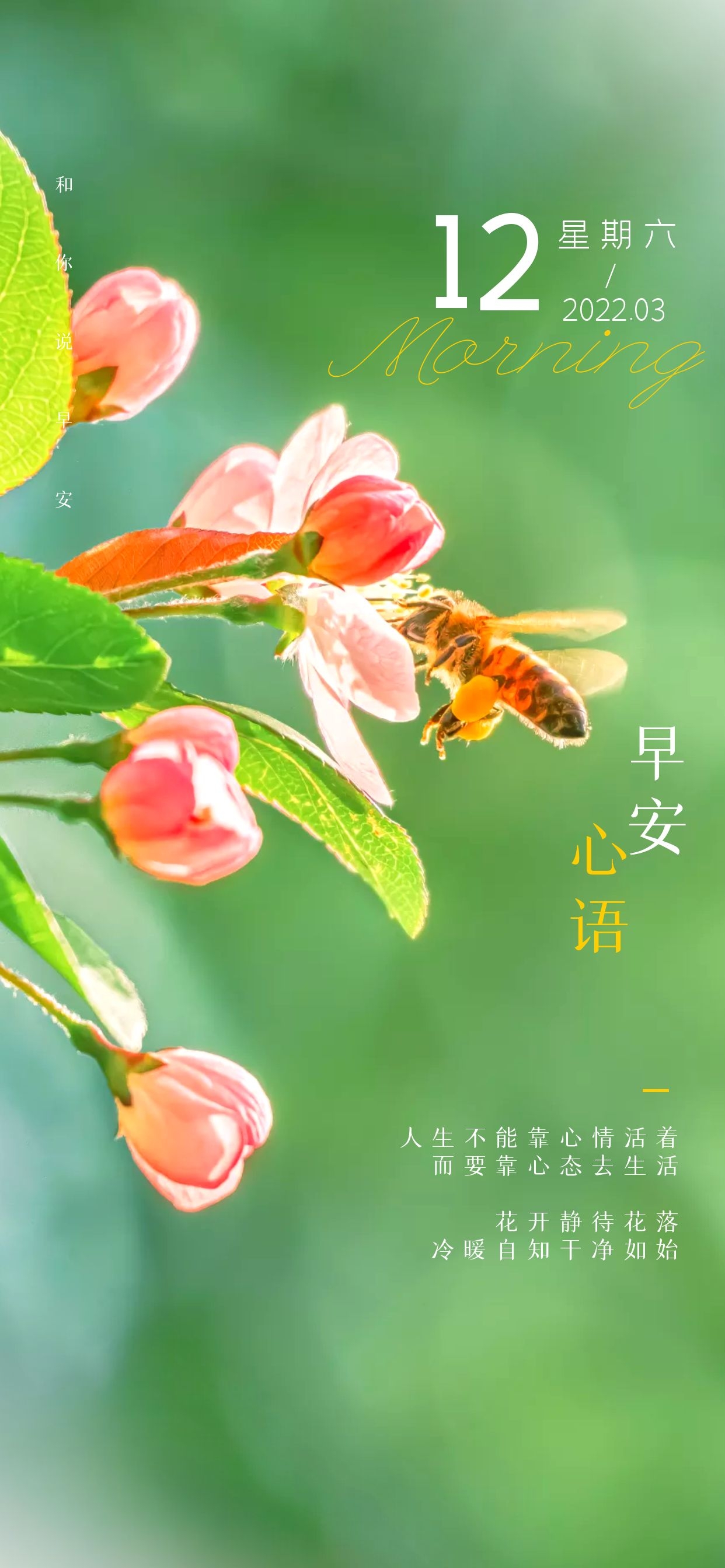 爱掼蛋630手机版-爱掼蛋 630 手机版：闲暇时光的最佳伴侣，社交功能超棒