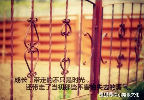 实力没得说是什么意思_没实力是什么意思_实力不够的意思