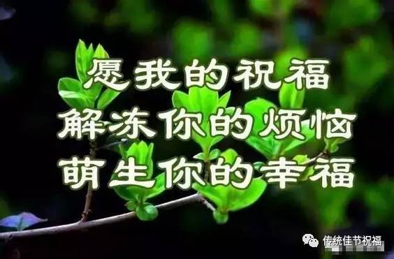 定群神针刷屏专用加长_定群神针刷屏专用加长_定群神针刷屏专用加长
