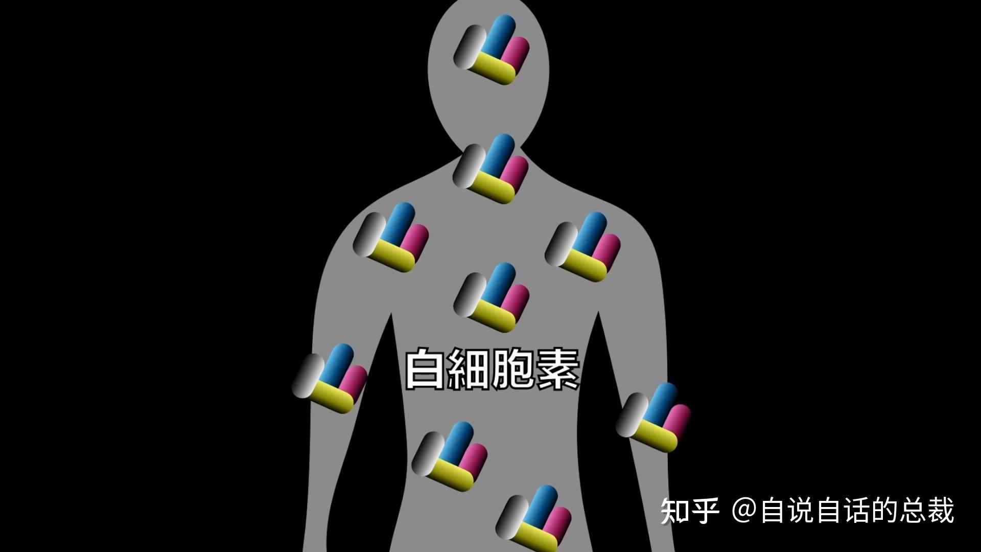 血浆与组织液的区别_血浆组织液的区别_血浆与组织液的主要区别是