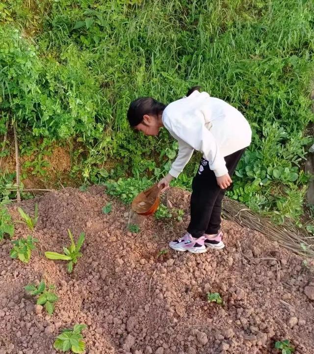 帮妈妈扫地作文200字_帮妈妈扫地作文两百字_帮妈妈扫地优秀作文