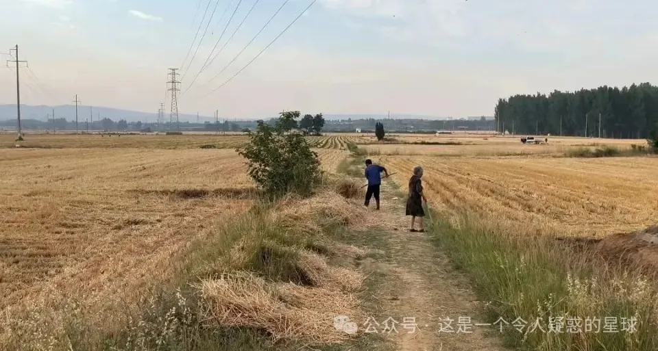 收谷子联合收割机_联合收割机谷王_谷神re20联合收割机价格