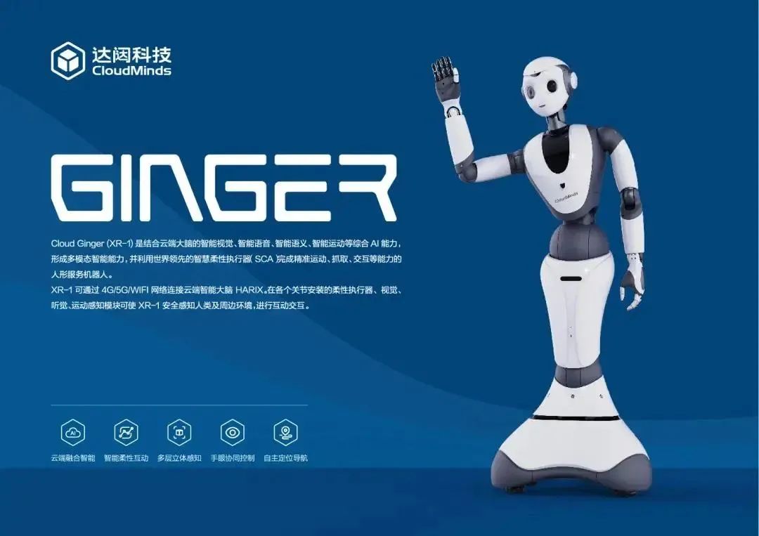 中抓树洞机器人_中抓树洞机器人说了什么_挖树机器人