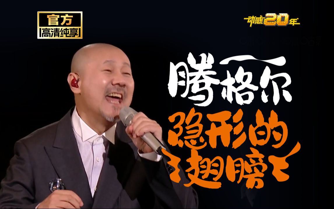 腾格尔嗓音太难听_腾格尔的嗓音_嗓音难听腾格尔唱的歌
