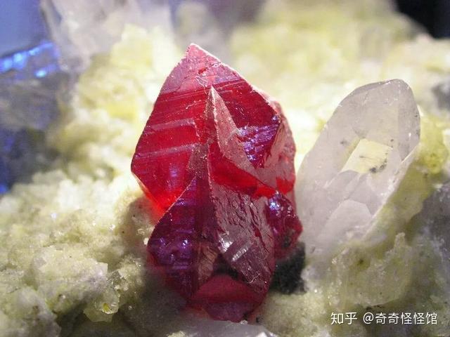 崔斯特地底世界值多少钱_地底世界崔斯特700多是真的吗_英雄联盟地底世界崔斯特稀有吗