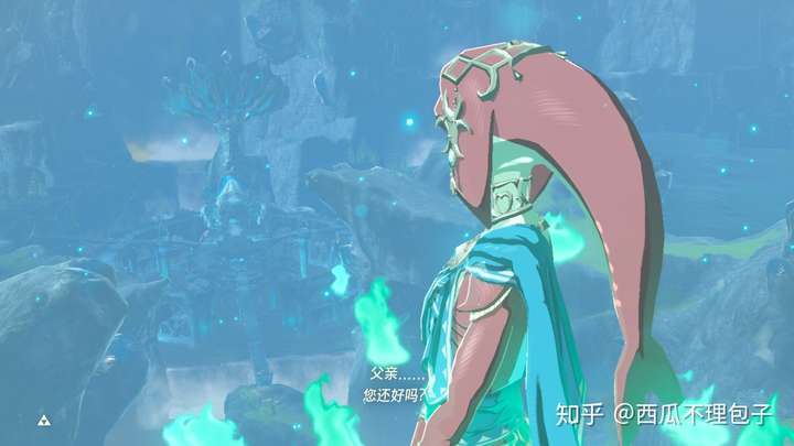版本塞尔达有什么区别_版本塞尔达有中文吗_塞尔达有哪些版本