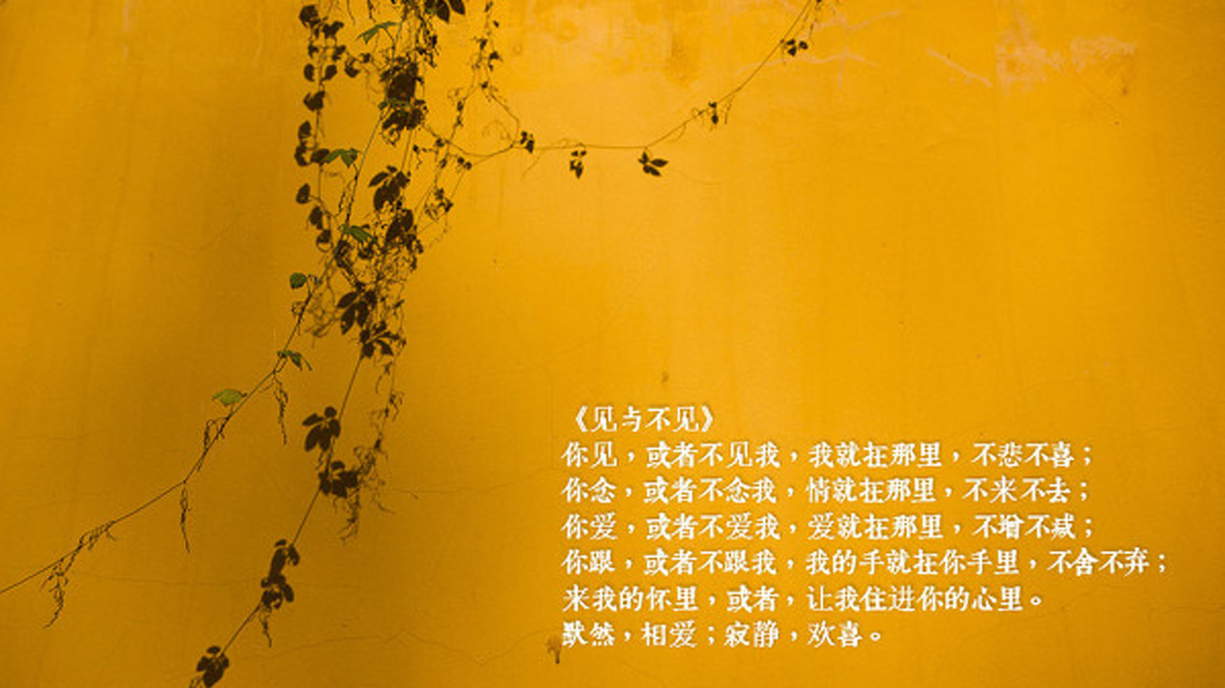 非诚勿扰游戏规则_非诚勿扰游戏规则与玩法_非诚勿扰游戏