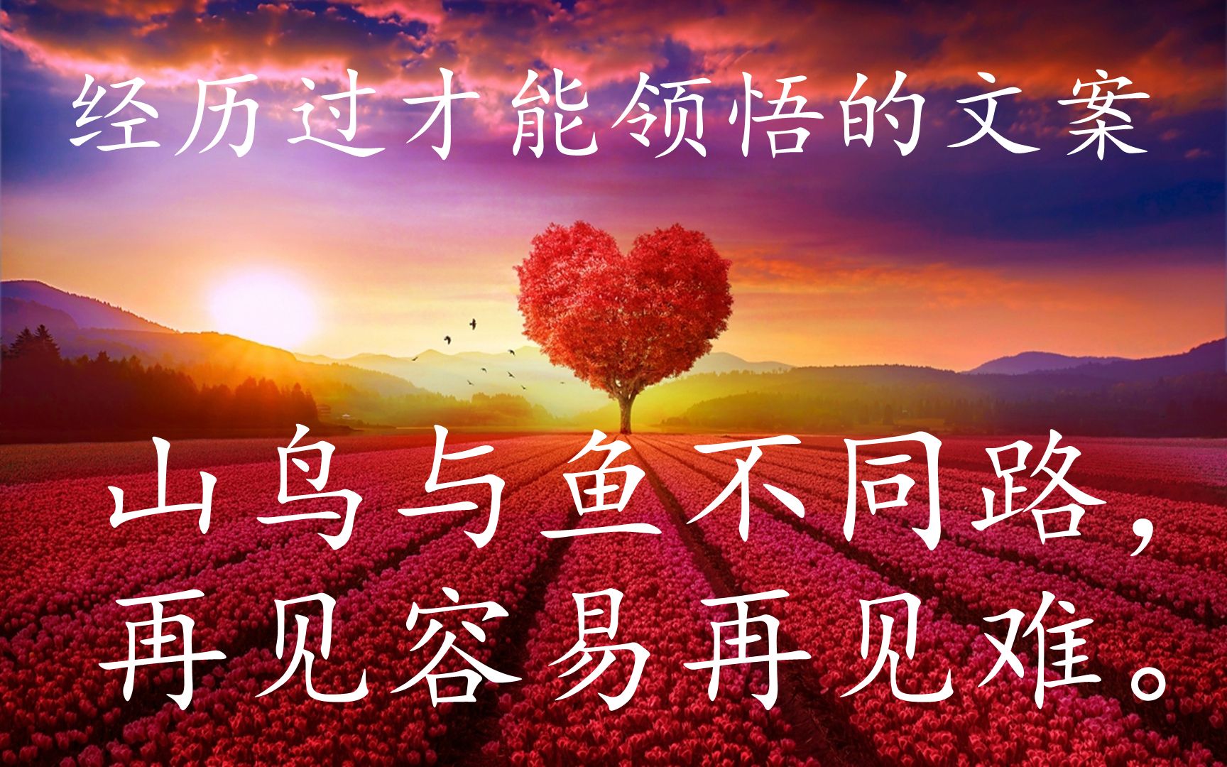 强者就是迎难而上图片_强者图片人生_强者图片